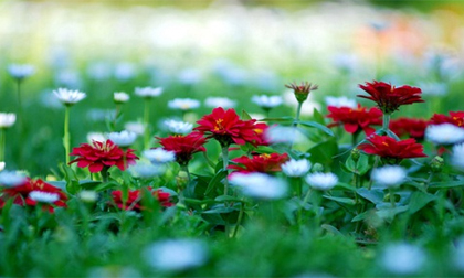 Khám phá chủ nhật của bạn (21/9/2014)