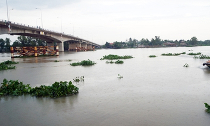 4 người đàn ông vật lộn cứu cô gái tự tử tại sông Sài Gòn
