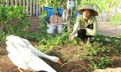 Xuân Lan 'chuyển nghề' bán vé số để nuôi con