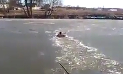 Người đàn ông cứu chó cưng giữa tảng băng