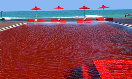 15 bể bơi tuyệt mỹ nhất thế giới