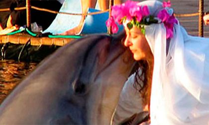 Nữ triệu phú kết hôn với... cá heo