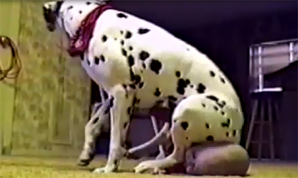 Những pha khó đỡ của cún cưng và bé