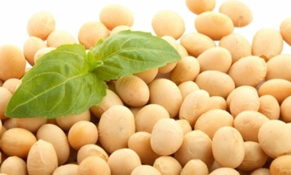 8 cách cực hay hạ huyết áp không dùng thuốc