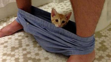 Ngắm những động vật ngộ nghĩnh chui trong ống quần