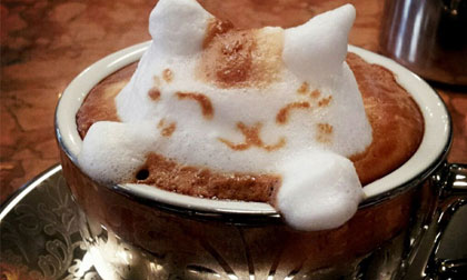 Ngạc nhiên với nghệ thuật tạo bọt cà phê đầy sáng tạo