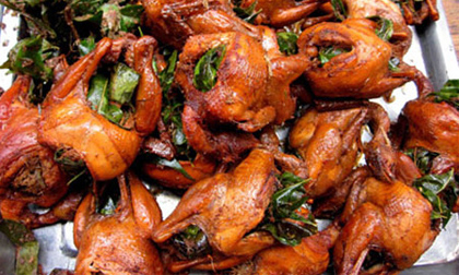 Biến vịt thải thành chim sẻ, cút thối thành bồ câu