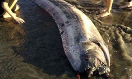 Rộ tin đồn về Ngày Tận thế của năm 2014