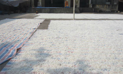 Kinh hãi ở lò sản xuất mứt Tết lớn nhất nhì Việt Nam