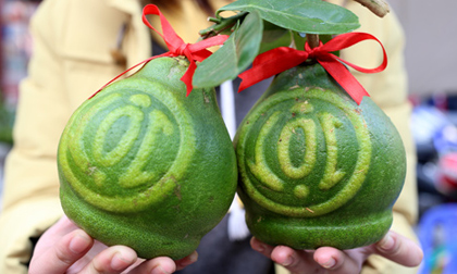 Bưởi hồ lô hút khách ngày giáp Tết