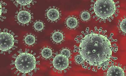 Trường hợp đầu tiên tử vong do cúm A/H5N1 ở Việt Nam