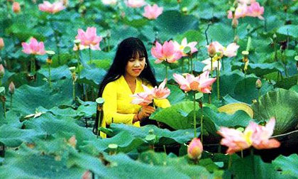 Những điều cần biết khi du lịch Đồng Tháp