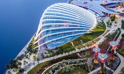 Ngắm 10 khoảnh khắc về cuộc sống đẹp nhất 