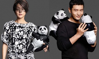 Dàn sao Hoa ngữ gây quỹ bảo vệ gấu trúc