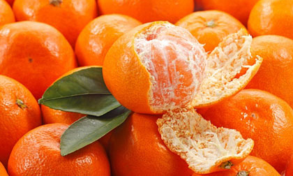 Vỏ quýt có thể giã rượu, chống say xe, trị ho