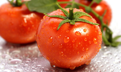 Những thực phẩm giúp chị em giảm cân ngày Tết