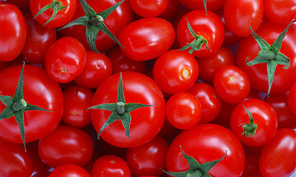  “Thần dược” giúp bạn hạ huyết áp kỳ diệu