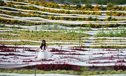 Chiêm ngưỡng chiếc váy cưới 4,8 km dài nhất thế giới