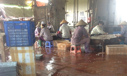 Bí mật kinh hoàng bên trong lò nội tạng lợn ở Bắc Ninh