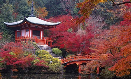 Choáng ngợp mùa lá đỏ ở Kyoto