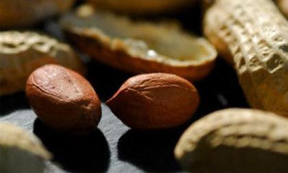 Những lợi ích không ngờ từ hạt lạc