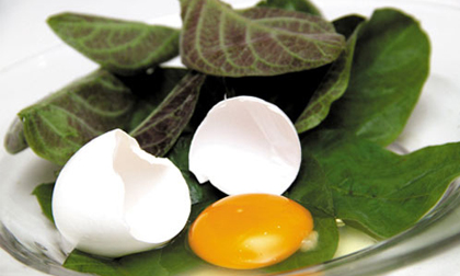 5 món ngon có lợi cho người sắp sinh