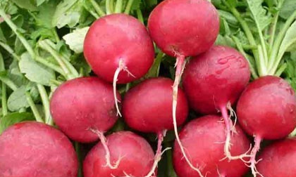 8 siêu thực phẩm ngon lành có tác dụng làm sạch cơ thể