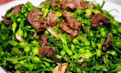 Hoa thiên lý - thần dược trị bệnh trĩ