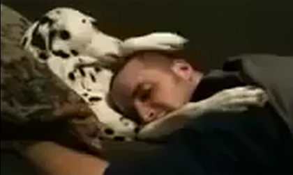 Chó vuốt ve chủ 