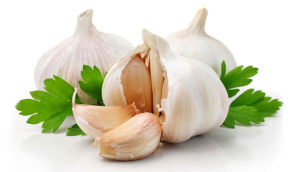 7 loại thảo dược và gia vị giúp bạn chống lại ung thư hiệu quả