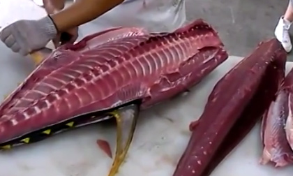 Quá trình xẻ thịt một con cá ở Okinawa - Nhật Bản