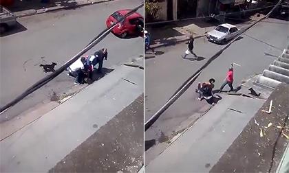 Cách nhanh nhất để tách 'hai con sư tử Hà Đông' đang hăng máu