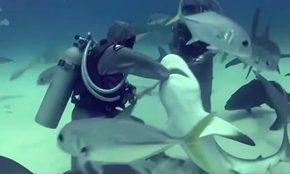 Rớt nước mắt với những tình huống hài hước (P.4)