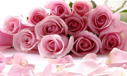 Gợi ý quà tặng ý nghĩa trong ngày 20/10