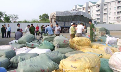 Bắt lô xe đạp điện nhập lậu giá 500.000 đồng/chiếc