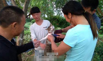 Phẫn nộ cảnh nhóm người dùng dao dọc giấy giết mèo dã man