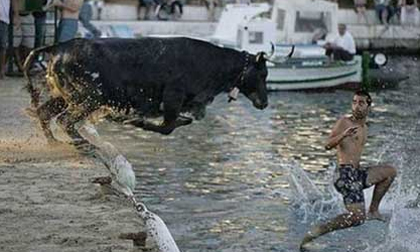 Chùm ảnh những 'tai nạn' gợi cảm và quái đản nhất