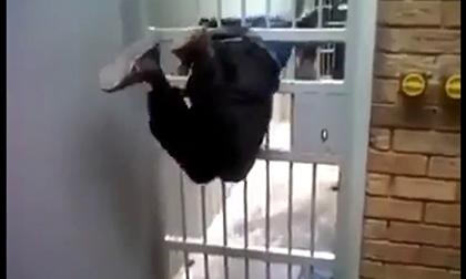 Thánh vượt ngục