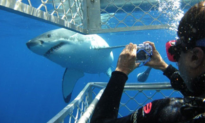 Những loại hình du lịch 'dị' nhất hành tinh