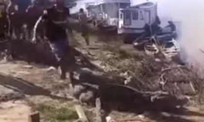 Leo lên đầu cá sấu đùa giỡn