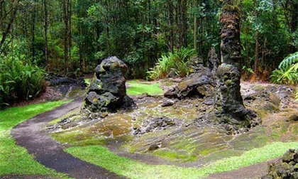 Khám phá rừng cây nham thạch độc đáo ở Hawaii