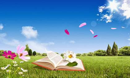 Thứ Tư của bạn ngày 29/10