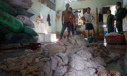 Hãi hùng cảnh tượng sản xuất dầu ăn bẩn