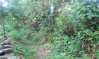 Thái Nguyên: Nữ sinh đi xem xiếc bị hiếp dâm tập thể