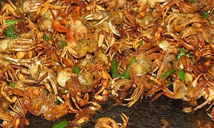 Nguy hiểm cần biết khi ăn cua đồng