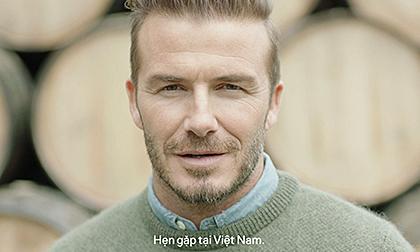 Lộ tin David Beckham sắp đến Việt Nam
