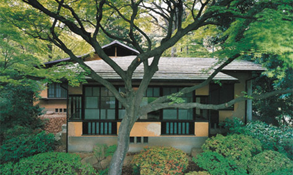 Xanh mát nhà sinh thái cổ 80 năm tuổi