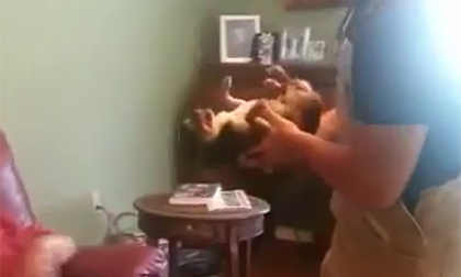 Chiêu 'giả chết' của cún con mỗi khi được chủ bế