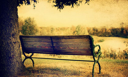 Thứ bảy của bạn (8/11)