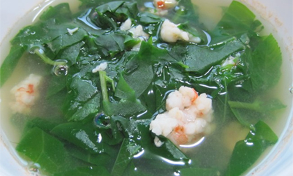 5 bài thuốc dân gian từ rau mồng tơi chữa bệnh rất hiệu quả
